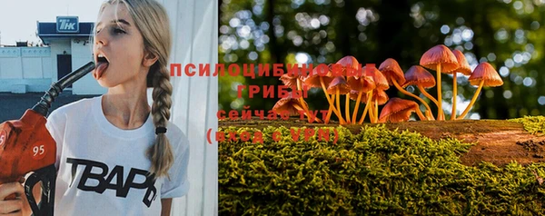 гидропоника Беломорск